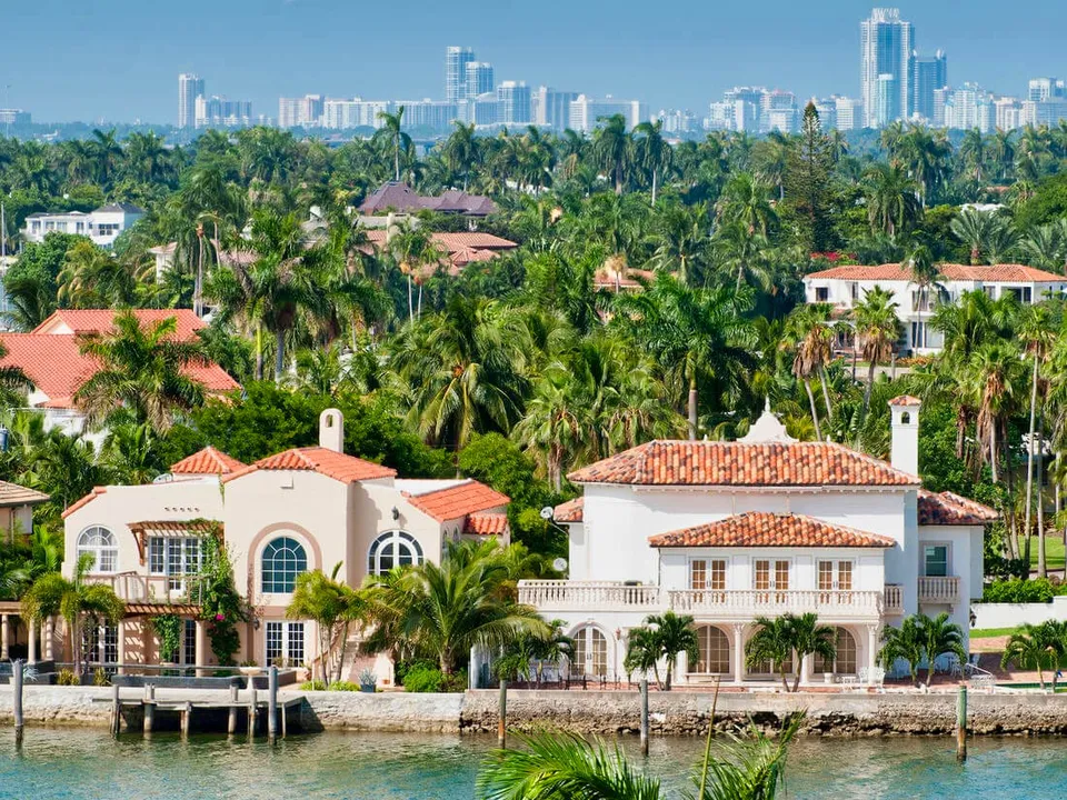 Palm Island Real Estate