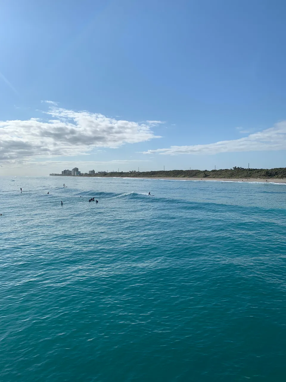 Juno Beach Real Estate