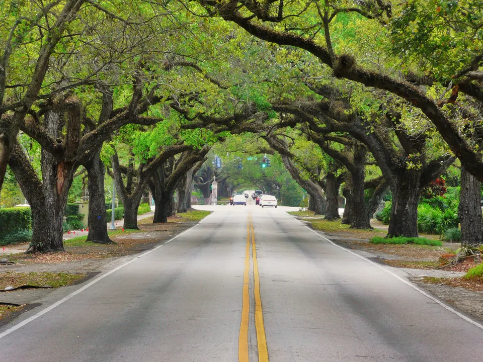 Hammock Oak And Lakes Real Estate