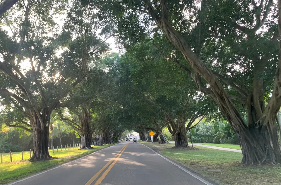 Hobe Sound Real Estate
